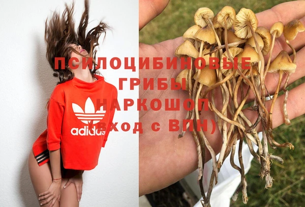 эйфоретик Алзамай