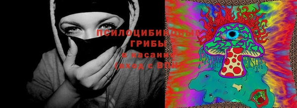 эйфоретик Алзамай